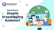 How to Start a Shopify Dropshipping Business? - Leveetech