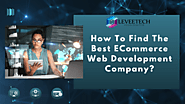 How to find The Best Ecommerce Web Development Company in Chennai?