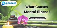 What Causes Mental Illness? - Skypanacea