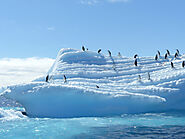 Best Antarctica Cruise