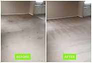 Unmatched Carpet Cleaning in Cape Coral, FL