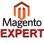 Work with Perfect Magento Experts Developer and also Developer for Best Magento Growth Services
