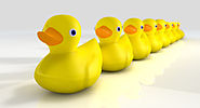 Getting your Ducks in a Row before Purchasing your Next Home