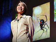 Cheryl Hayashi: The magnificence of spider silk