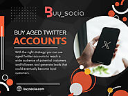 Buy Aged Twitter Accounts with Followers
