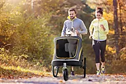 Website at https://ibiyaya.com/product/hercules-heavy-duty-pet-stroller-2-0/