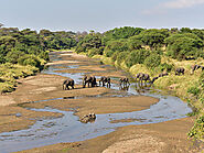 Africa: 10 Safari Tips for Conservation and Community Support | Jokotta Discoveries
