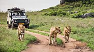 iframely: Bucket List Things to do in the Maasai Mara Safari