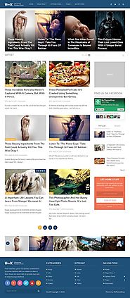 MyThemeShop - WordX - Cheap Wordpress Plugins. Online Cheap Wordpress Plugins & Themes