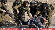 Israeli Military Kills Three Palestinians in West Bank of Gaza