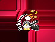 The World of Windows