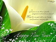 Happy New Year Cards | New Year Greeting Cards