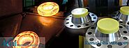 Flange Manufacturer in India