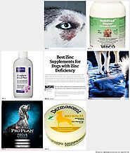 Best Zinc Sulfate Supplements and dog food for Dogs with Zinc Deficiency 2016