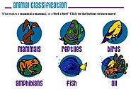 Kid's Corner - Main Page on Animal Classification - Mammals, Reptiles, Birds, Amphibians and Fish