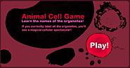 Cell Game- Anatomy - Health and Science