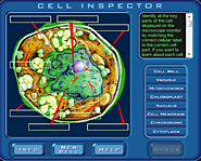Cell Inspector