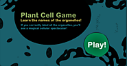 plant cell game