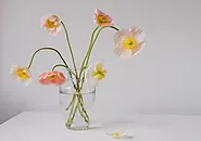 How do you send flowers internationally? - Bithflowers.com