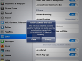 How to Clear History and Cookies on iPad