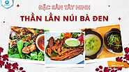 Thằn lằn núi Bà Đen - Đặc sản Tây Ninh ngon nức tiếng #1