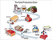 The Food Production Chain - How Food Gets Contaminated