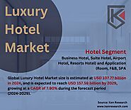 Insights from Hotel Market Analysis