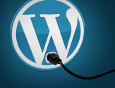 Top 10 Must Have WordPress Plugins You Can't Live Without