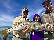 Get Snook Fishing Report in Tampa Bay