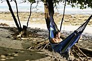 Best Lighweight Camping Hammocks Reviews 2016 Powered by RebelMouse