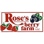 Peter Mirenda | Profile