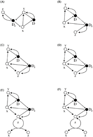 The Immuno-Dynamics of Conflict Intervention in Social Systems - Krakauer Page & Flack