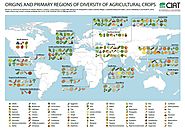 Where our food crops come from