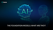 The Foundation Models: What Are They?