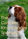 You do not need to trim the hair of cavaliers, but doing so will make caring for them easier.