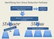The concept of Stress Reducing Homes