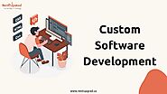 Software Development Services