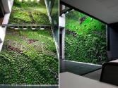 Spain's Largest Vertical Garden Cleans Air Inside Office Building