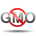 Top 20 GMO Foods and Ingredients to Avoid - Global Healing Center