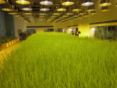 These Office Workers Can Tend Crops While They're In Boring Meetings