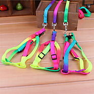 Dog Harnesses Archives - Haus of Pet