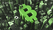 Bitcoin’s Institutional Holdings: A Sign of Increased Adoption - Seracle