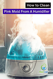 How To Clean Pink Mold From A Humidifier