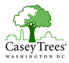 Casey Trees Blog
