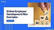 10 Best Employee Development Plan Examples