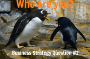 Business Strategy Question #02: Who Are You?