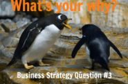 Business Strategy Question #03: What is your big WHY?