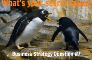 Business Strategy Question #07: What is your secret sauce?
