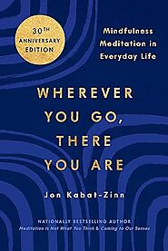 Wherever You Go, There You Are by Jon Kabat-Zinn