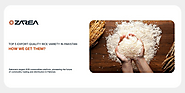 Top 5 Export-Quality Rice Variety in Pakistan | How We Get Them? | ZAREA LIMITED